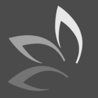 Favicon (200 x 200 px)