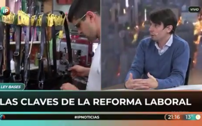 Acerca de la Reforma Laboral y el Régimen de Incentivos a Grandes Inversores (RIGI)